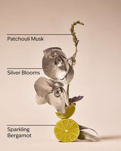 Body Mist - Platinum