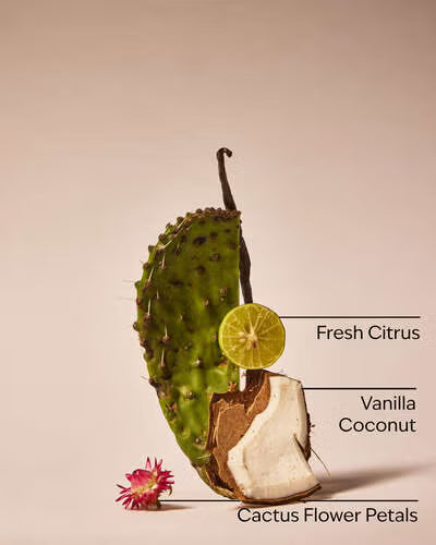 Vela de 3 Mechas - Cactus Blossom
