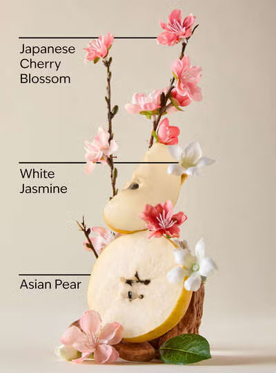Body Scrub - Japanese Cherry Blossom