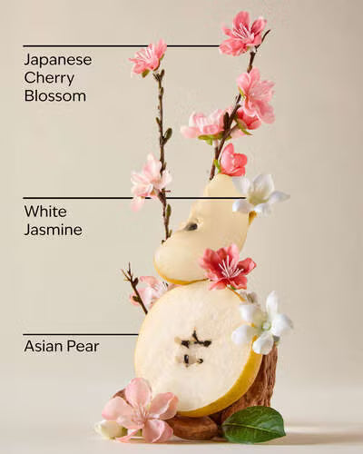 Body Butter - Japanese Cherry Blossom