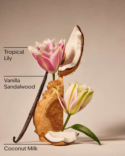 Body Mist - Eau De Coconut