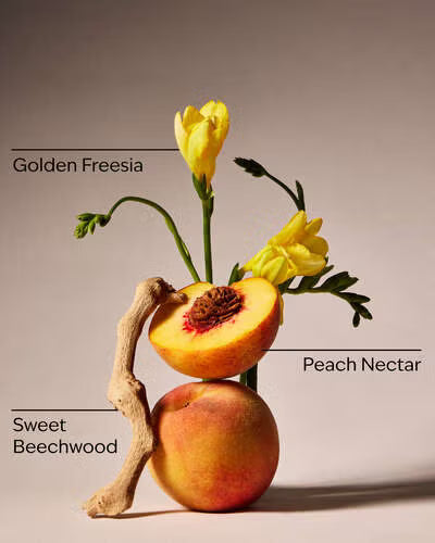 Body Scrub - Peach Blossom & Nectar