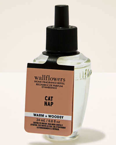 Wallflower - Cat Nap