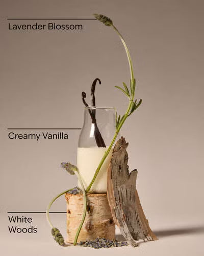 Body Butter - Lavender Vanilla