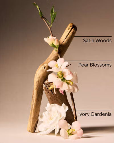 Body Mist -  Dressed In White