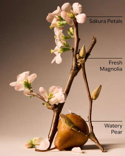 Body Mist - Forever Cherry Blossom