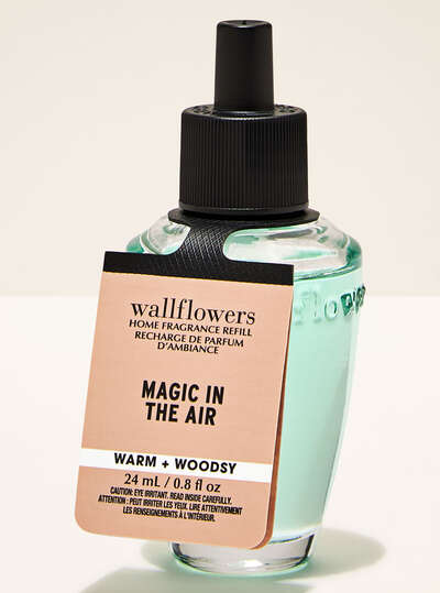 Wallflower - Magic In The Air