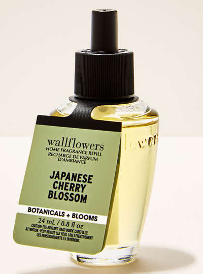 Wallflower - Japanese Cherry Blossom